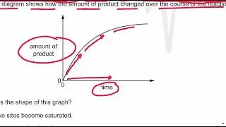 Enzymes topical past papers paper 1 (part 1) - AS Level Biology