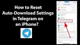 How to Reset Auto-Download Settings in Telegram on an iPhone?