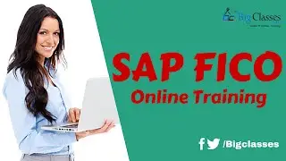 SAP FICO ECC6 Online Training | SAP FICO Training Videos