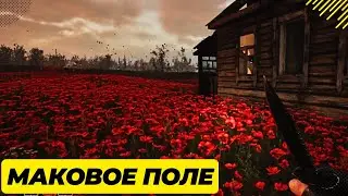 Задание 