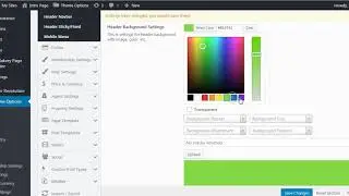 Theme options basic header footer option