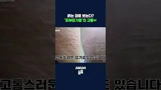 머리카락만 스쳐도 간지럽다고?ㄷㄷ #shorts / 스브스뉴스