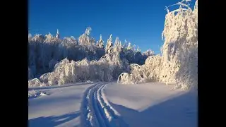 Прогулки по лесу. Прогулки на свежем воздухе. Пешие походы . Hiking