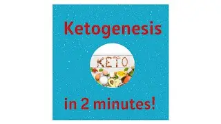 Ketogenesis and Ketones in 2 minutes!