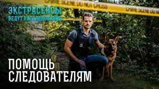 С помощью дара найти виновных в гибели – Экстрасенсы ведут расследование