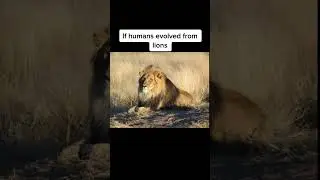 😳 how humans could evolved differently #vairalshort #short #human