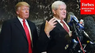 Newt Gingrich Tells Funny Story About When He Was Being Floated For Trump's VP In 2016