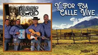 LOS PALOMINOS - Y POR ESA CALLE VIVE (Audio Oficial) 2023