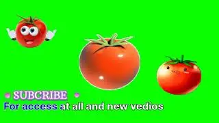 Green screen cartoon |Animated vedio | tomato movements | object|@muazim305