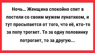 Новые, Смешные и Свежие Анекдоты. Хорошего Вам Настроения.