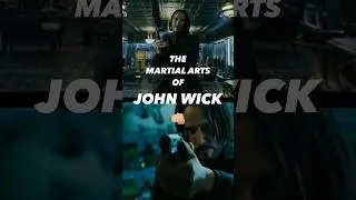 The MARTIAL ARTS of JOHN WICK #johnwick #aikido