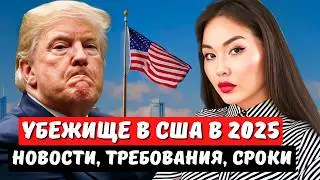 КАК ПОЛУЧИТЬ в 2025 г. ПОЛИТИЧЕСКОЕ УБЕЖИЩЕ В США? Объясняет иммиграционный юрист США Айя Балтабек