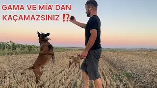 GAMA VE MİA ‘ DAN KAÇAMAZSINIZ⁉️ 