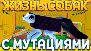 ЖИЗНЬ СОБАК С МУТАЦИЯМИ ( Wobbledogs )