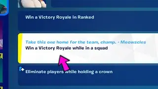 Win a Victory Royale while in a squad
