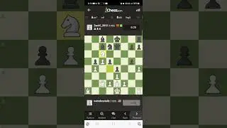 Checkmate or Rage Quit | Game 17