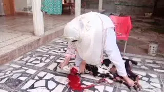 Video of women slaughtering a goat by Gull Baji #trending #goat# slaughter #viralvideo