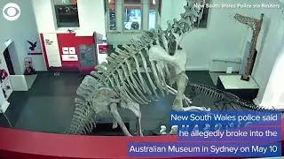 WEB EXTRA: Surveillance Videos Shows Man Walking Around Closed Museum Taking Selfies