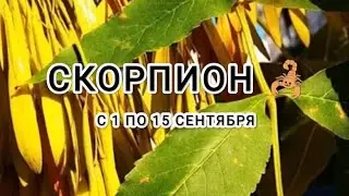 СКОРПИОН 🦂 таро прогноз с 1 по 15 сентября &Scorpio tarot forecast from 1 to 15 September