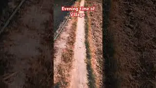 #villagevlog#village#villagelife#villagelifestyle#vlogger#vlog#vlogvideo#blogger#history#facts#sort