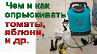 Чем и как опрыскивать томаты, яблони