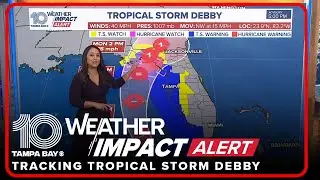 National Hurricane Center: Tropical Storm Debby forms in the Gulf of Mexico