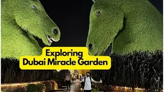 Exploring Dubai Miracle Garden Adventure in less than 20min