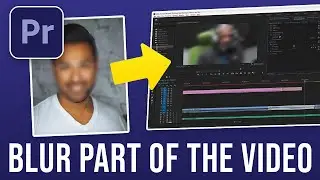 How to Blur a Part of a Video in Adobe Premiere Pro (2024)