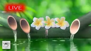 🔴 Relaxing Music 24/7, Stress Relief Music, Meditation, Spa, Sleep, Zen, Calming Music, Study, Yoga