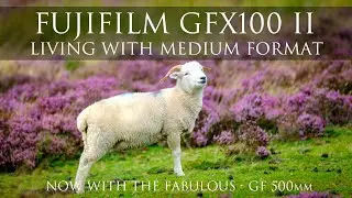 Fujifilm GFX100ii plus the new GF 500mm - living with the latest Medium Format system