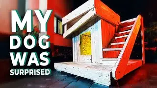 Waterproof and insulated DIY Dog house from old wooden pallet