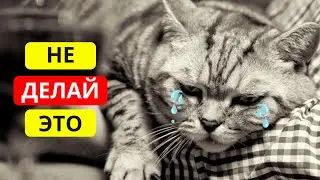 Эти 15 ОБЫЧНЫХ вещей ОБИЖАЮТ вашу КОШКУ! 🙀