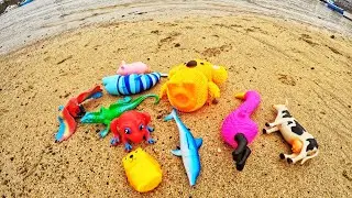 Find Animal Toys at the Harbour | Learn Animal Names & Facts: Lizard Shark Tiger Horse Frog Cow