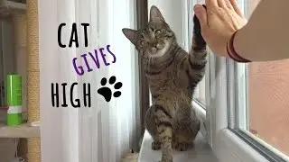 Cat Jonasek gives HIGH FIVE !