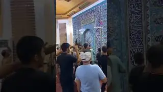 Бул эмне деген шумдук же шияларбы ким билет.