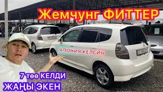 АК Фиттер ТОЛУП КЕТТИ -- ТЕЗ КОРГУЛО