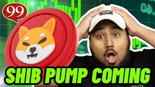 Shiba Inu 30% Pump expected!! Buy Shiba Inu Coin Now?!