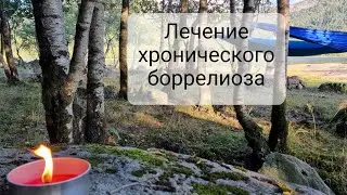 Эффективность лечения Лайм боррелиоза. 23 способа.