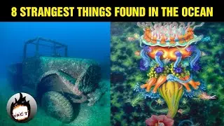 8 Strangest Things Found in the ocean