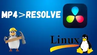 DaVinci Resolve не видит видео файлы, не добавляет,mp4 Linux