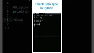 How to Check data type in python 