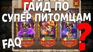 SUPER PETS GUIDE FAQ! CASTLE CLASH