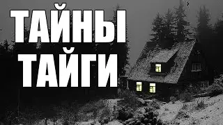 Страшные истории. Тайны ТАЙГИ.