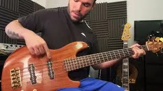 Fender Jazz Bass Victor Bailey V 2008 - Demo (no talking)