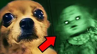 Top 10 SCARY Ghost Videos To Give You PIT STAINS