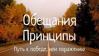 Обещание, как инструмент к достижению цели