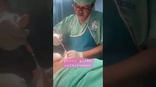 Penis girth enlargement | Penis enlargement | Penile girth enlargement in Bangladesh