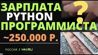 Зарплата программиста на python