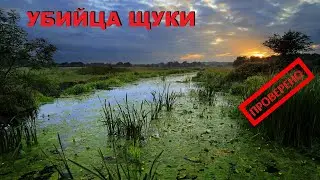 НА ТАКИЕ СПИНИНГОВЫЕ ОСНАСТКИ ЛОВИТЬ ЗАПРЕЩЕНО! САМАЯ 