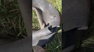 #мтз колесо